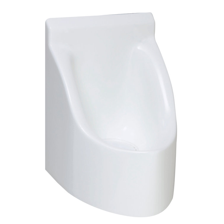 Waterless Del Casa Urinal, Home Use Wayfair